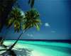 Deals Beach, just south of the  Stella Maris resort